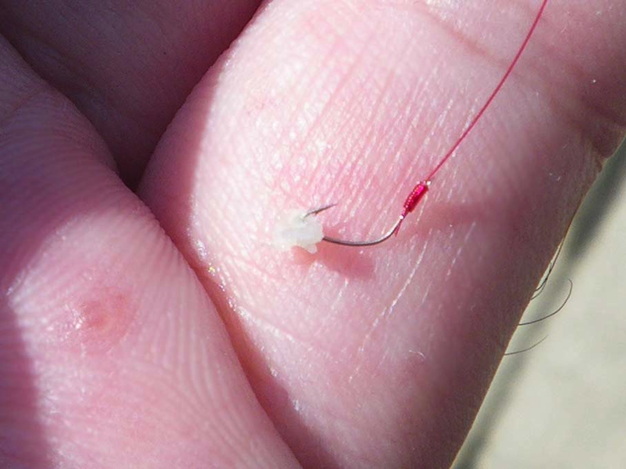 https://microfishing.com/wp-content/uploads/2011/11/6.png