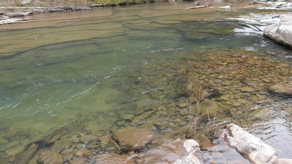 Piney River Stream Bottom